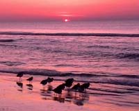 Hilton Head Island in HD